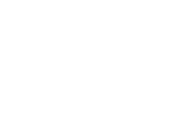 RheinNeckar Metropol Hub
